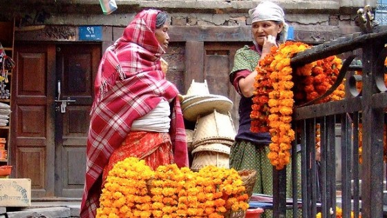 natural mosquito repellent marigolds