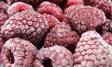 Ten Tips for Keeping Your Food Safe This Summer