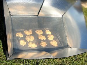 Hamas Thwarts A Greener Gaza