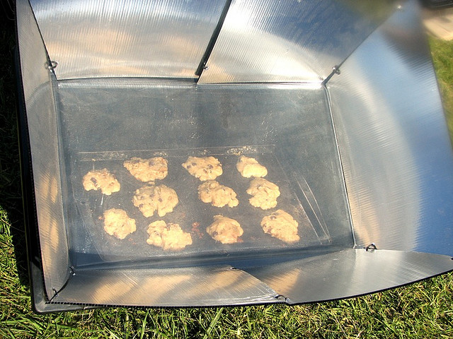 Hamas Thwarts A Greener Gaza