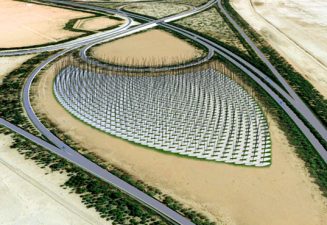 Windstalks May Compete with Turbines to Energize the Middle East