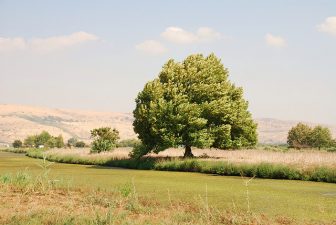 Hima: The Middle East’s Tradition of Environmental Protection