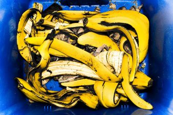 Organic Waste Collection And Composting In The Works For Israeli Municipalities