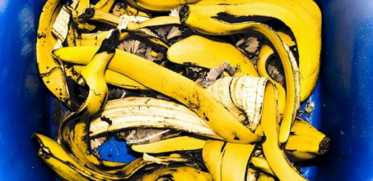 banana-organic-waste.jpg