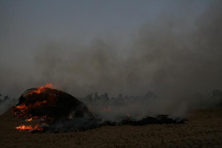 A Black Smog-Craft Chokes Cairo’s Skies