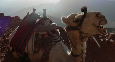 Climbing God’s Mountain in Sinai