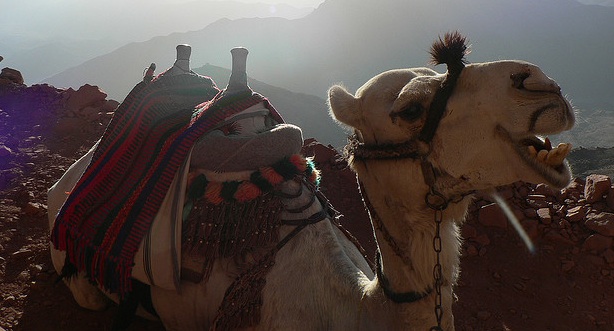 Climbing God’s Mountain in Sinai