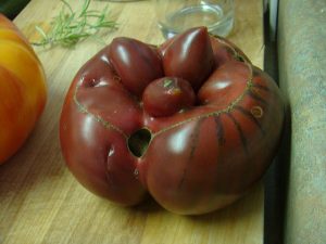 Syngenta: Use GMOs To Boost Turkey’s Agricultural Sector