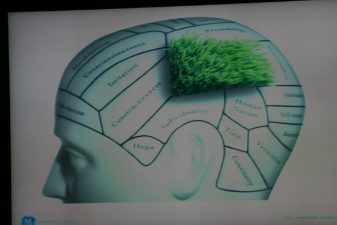 Turkey’s Smart New Connection to Europe