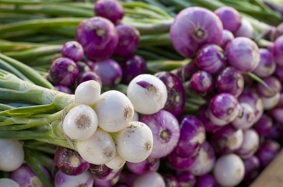 uae-first-farmer-market