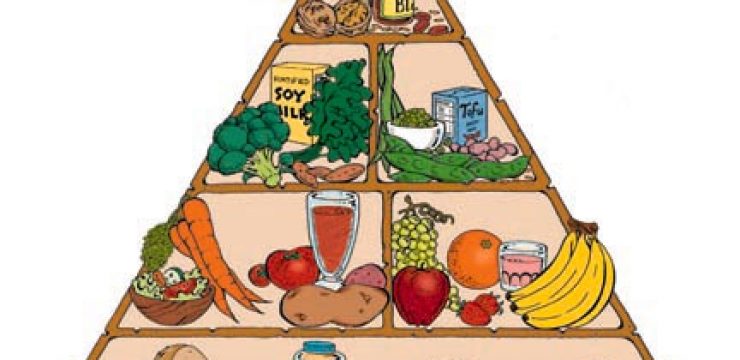food-pyramid.jpg