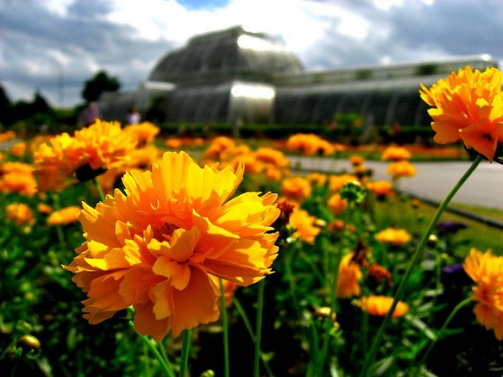 kew-botanical-gardens