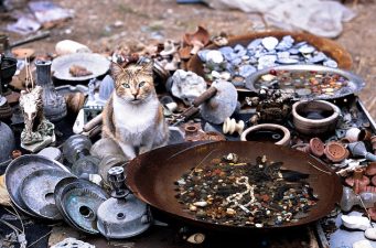 Lebanon’s Five Biggest Environmental Headaches