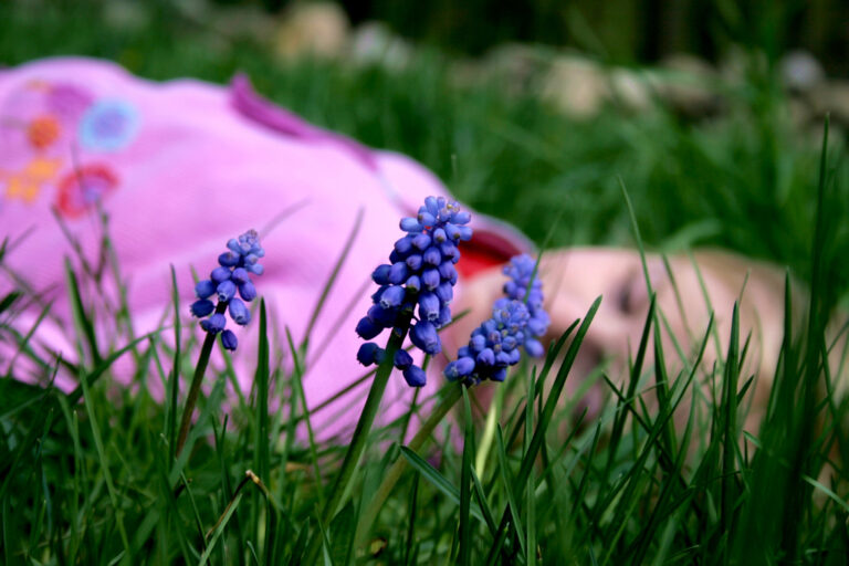 Controversy: Birth Rate In Middle East Bad News For Planet