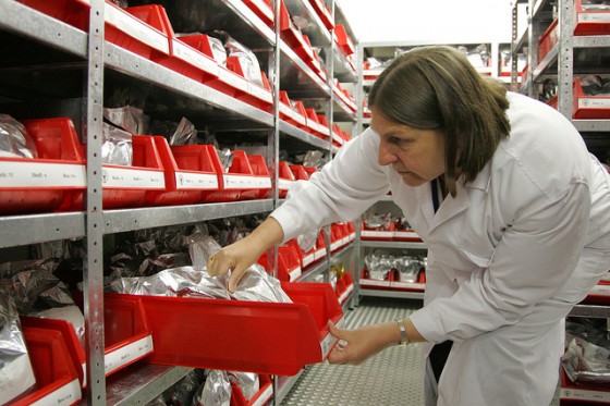 sorting-seed-bank-vault