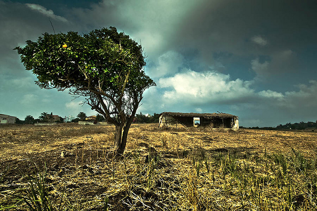 Great Examples Of ‘Hima’ Or Protected Areas In The Middle East