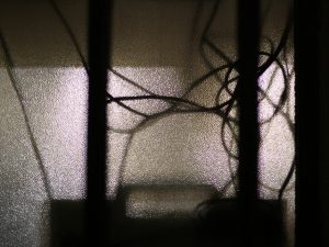 Go Green and Go Offline For Green Yom Kippur