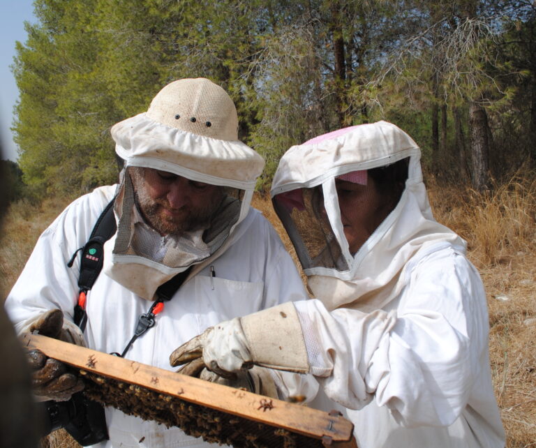 I visit beehives and get swarmed
