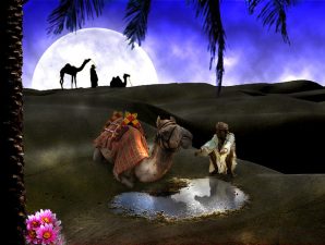 Israel Shares Strategies For Taking Back The Desert Oasis November 8-11, 2010