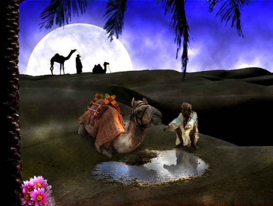 desert-conference-israel