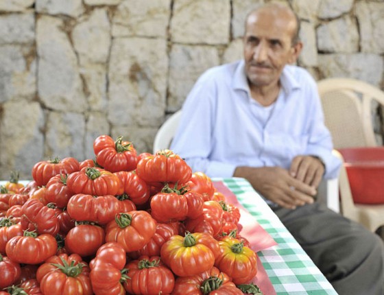 Beirut's Souk el Tayeb Farmer's Market