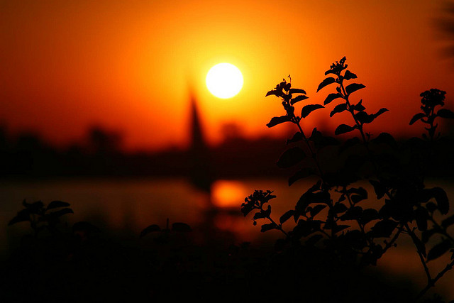 MIT Student Kindles Solar Manufacturing In Egypt