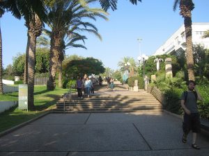 Academic Research and Environmental Policy Conference at Tel Aviv University Tomorrow