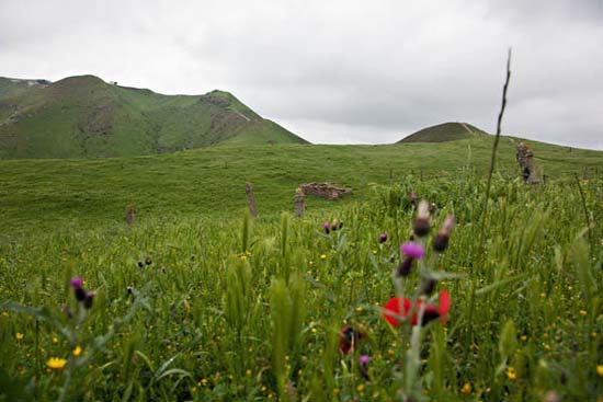 penis headstones graves iran