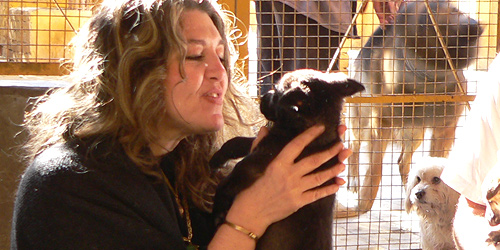 amina-abaza amina abaza