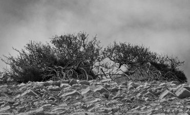 Arab Apathy Leads To Middle East Water Apocalypse