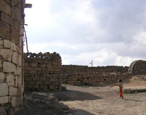 500,000 Syrians Flee Drought-Stricken Zone