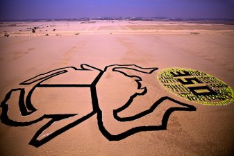 Cairo’s Climate Art of Epic Proportions