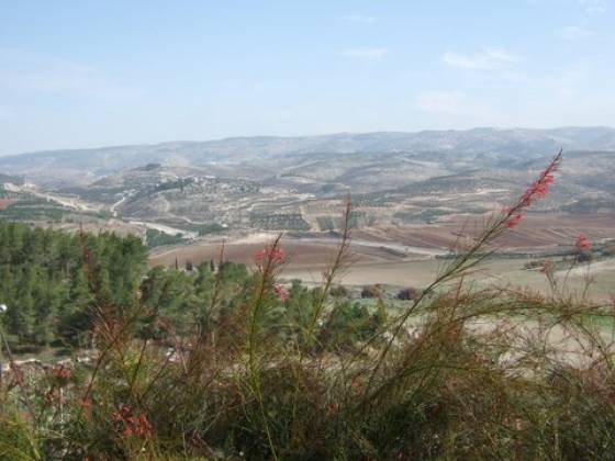 adullam-murdoch-rothschild-oil-shale