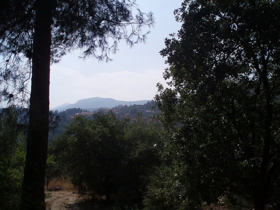 "galilee vegetarian village israel"