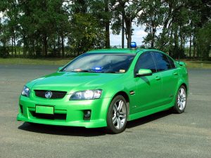 Interpol Gets Tough On “Green Crimes”