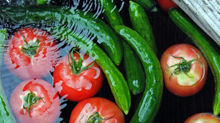 How Vegetarians Can Solve The Middle East Water Crisis