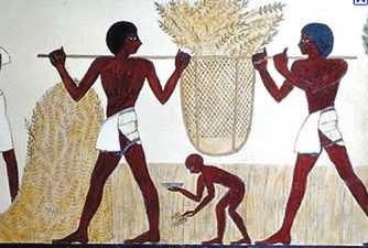 Climate change killing ancient crops in the Cradle of Civilization