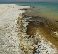 Bromine in the Dead Sea Makes Mercury Above it More Lethal