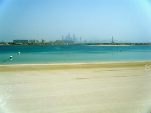Kuwaiti Sharks, Ecosystems and Exxon