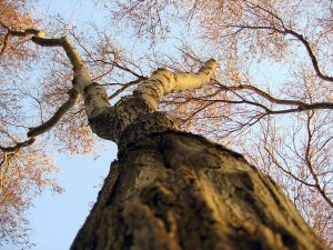 Local Israeli Authorities Take More Control Over Environmental Protection