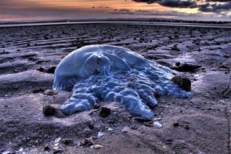 Future-Proofing: Key Protection Invented By Israeli Company