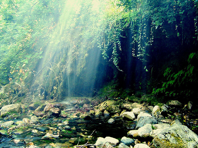 Sufi Poetry: Lessons In Nature & Leadership