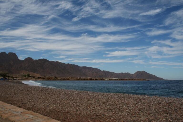 Three Russian Red Sea Snorkelers Attacked By White-Tip Shark