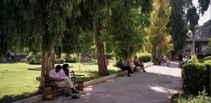 syria-park-upyernoz1.jpg