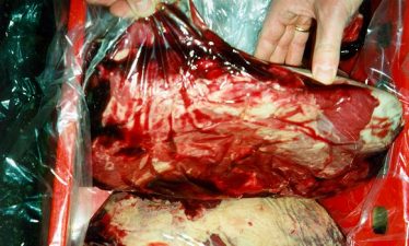 The Meat You Eat May Not Be What You Think