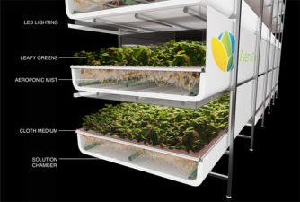 First AeroFarms Unit Installed This Week in Jeddah