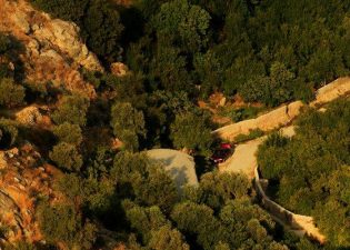 Jordanian Environmentalists to Fight Ajloun Forest Construction