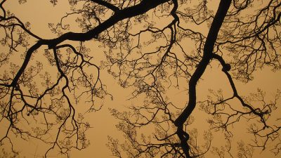 The Surprising Impact Of Dust On Climate Change