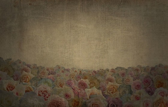 textured-roses-image