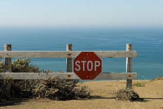 Loss Of Marine Life Could Lead To Ecosystem Collapse